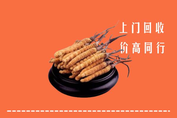 高价求购：中方回收散虫草